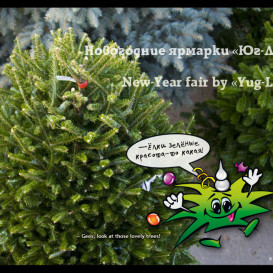 yug-les_album2012-40-foto-01