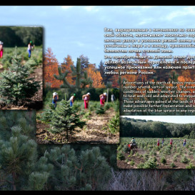 yug-les_album2012-40-foto-16