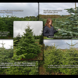 yug-les_album2012-40-foto-24
