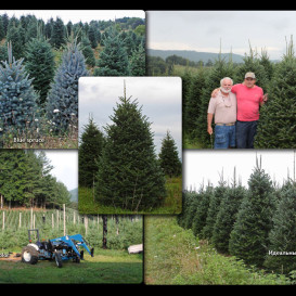 yug-les_album2012-40-foto-25