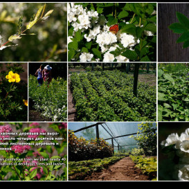 yug-les_album2012-40-foto-30